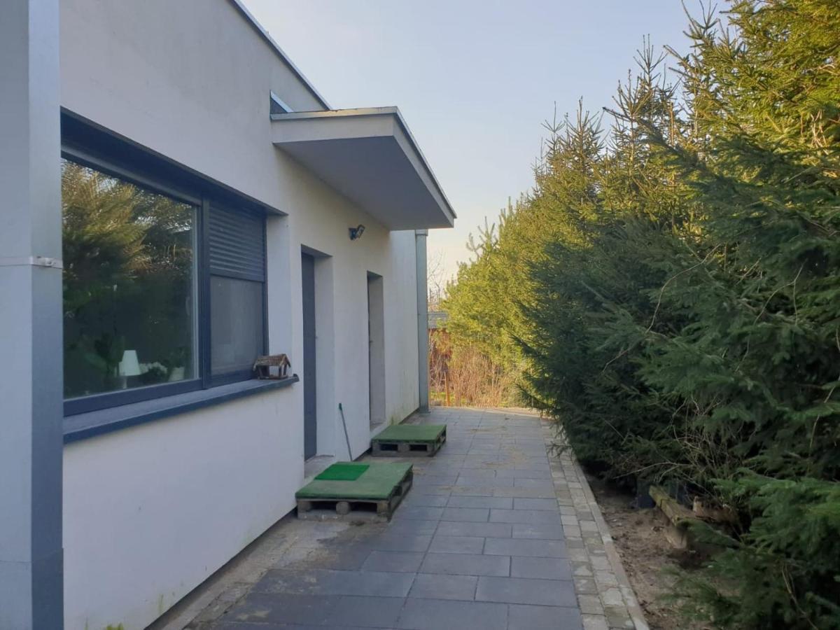 Maly Apartament W Zieleni Blisko Jeziora Шрода-Вєлькопольска Екстер'єр фото